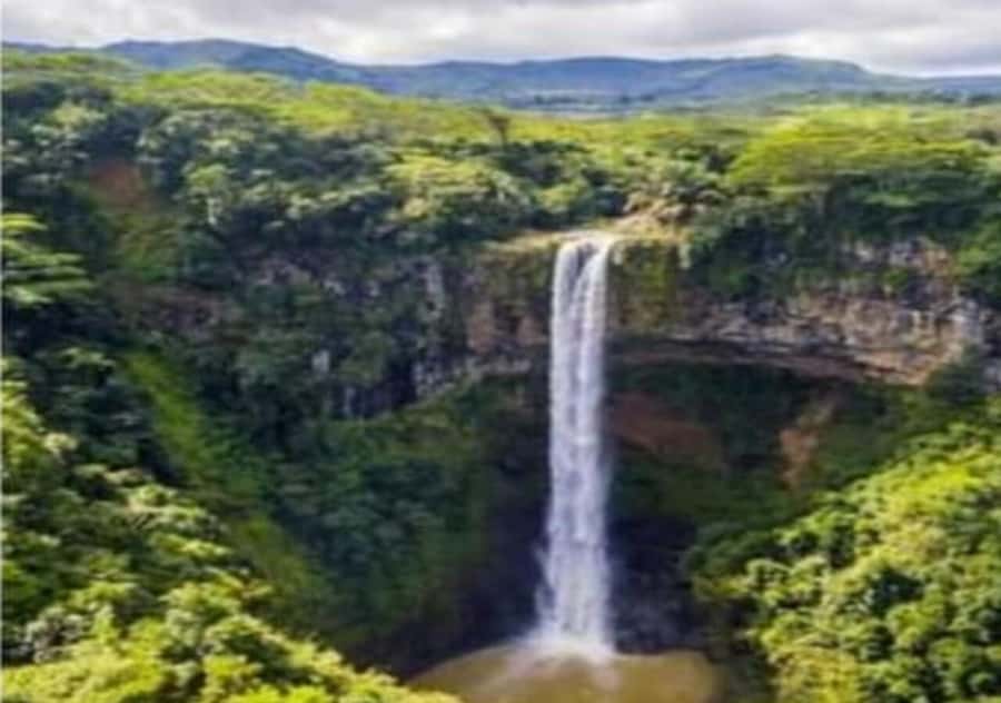 Wild South West Private Tour with pick up - Key highlights to know before you go