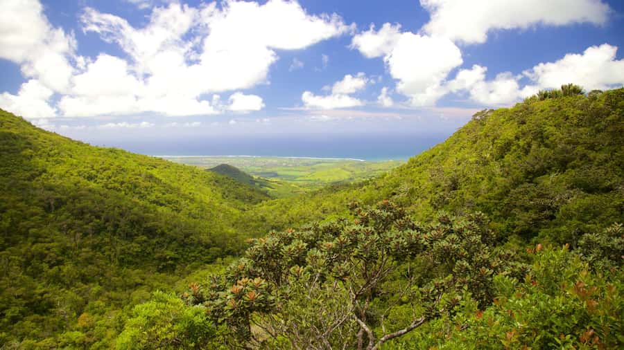 Wild South West Private Tour with pick up - Chamarel Village: waterfalls and 7-Coloured Earth in one go