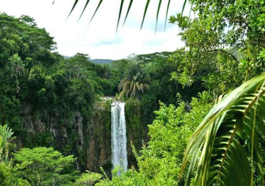 Wild South West Private Tour with pick up - Trou Aux Cerfs and Curepipe: the crater-to-views moment