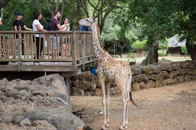 Wild South West Tour : SAFARI & TULAWAKA CASELA PARK & LE MORNE - A full day of Mauritius views and animals, starting at 8:00 am