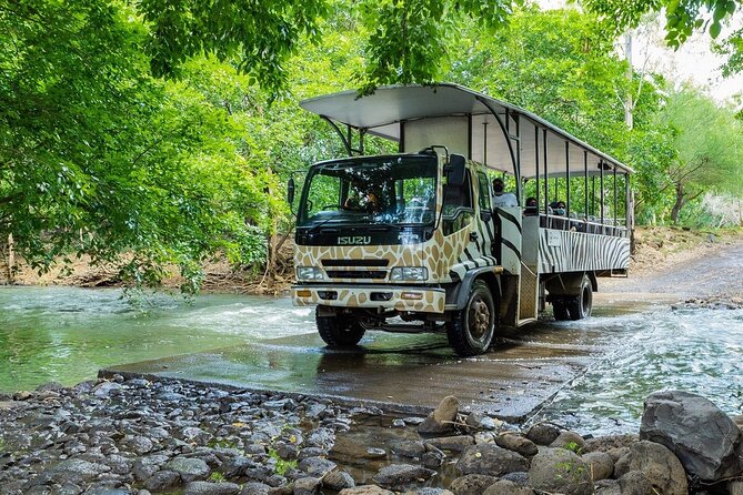 Wild South West Tour : SAFARI & TULAWAKA CASELA PARK & LE MORNE - Trou aux Cerfs: a quick volcano stop that explains the island