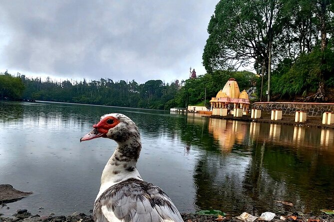Wild South with Waterfalls & Rare Exotic Viewpoints with Lunch - Ganga Talao Hall: Sacred Calm, Yoga Vibes, and Meditation Stops
